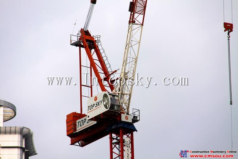 天一 TL225-12T Tower Crane