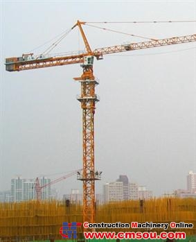 永茂 H3/36B-12t Tower Crane