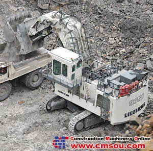 Liebherr R 9350 crawler excavator